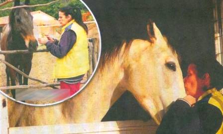 Η Έλενα Ναθαναήλ φρόντιζε το άλογό της σαν παιδί της