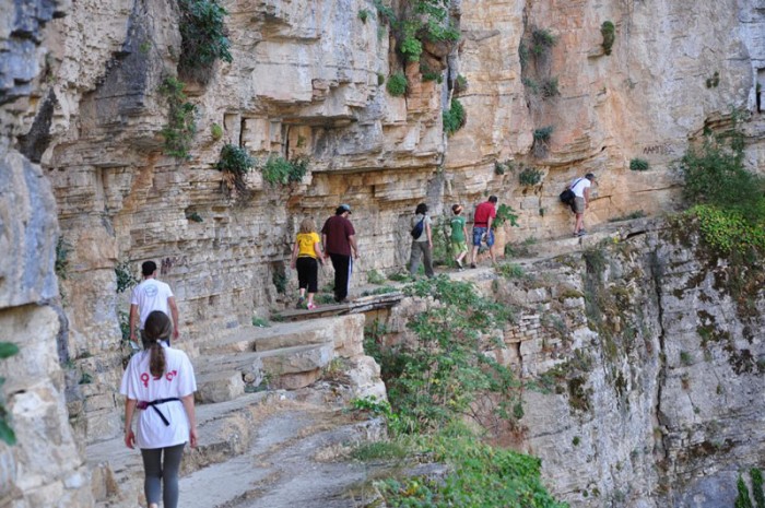 Vikos pezoporia