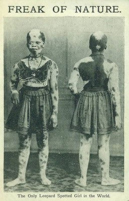 The Leopard Girl (Louise)