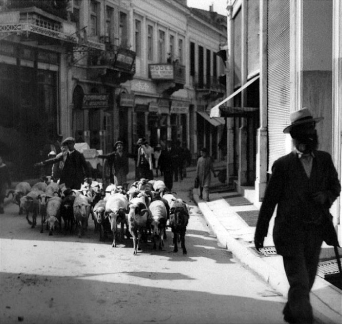 Frédéric Boissonnas, 1903-09, Αθήνα, συνοικία Πλάκας, βοσκός με κοπάδι στην οδό Κλειτίου.