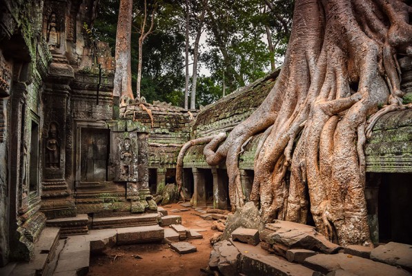 Οι ρίζες των δέντρων έχουν επεκταθεί εσωτερικό του ναού Άνγκορ Βατ στην Καμπότζη.