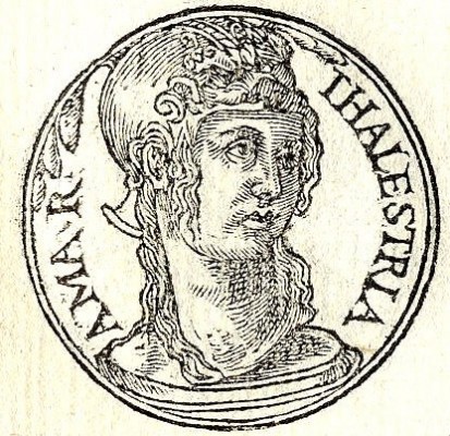 Queen Thalestris of the Amazons