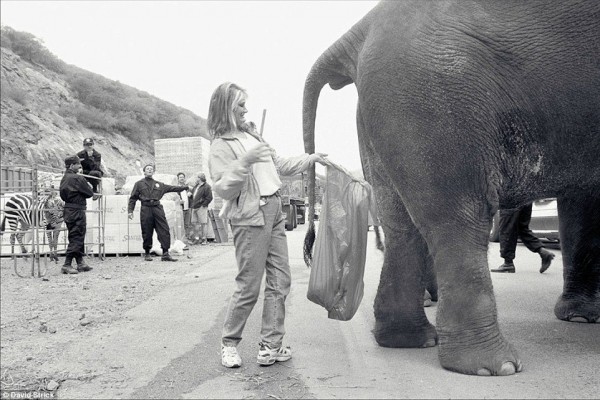  Η υπεύθυνη χειρισμού του ελέφαντα την στιγμή που μαζεύει τις ακαθαρσίες του στα παρασκήνια της ταινίας Deep Impact το 1998.