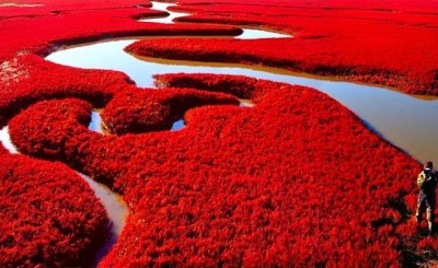 Red-colored-Beach-in-China