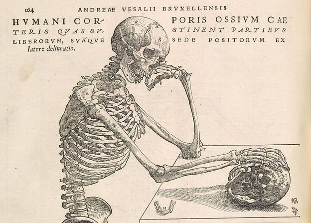 Andreas Vesalius  3