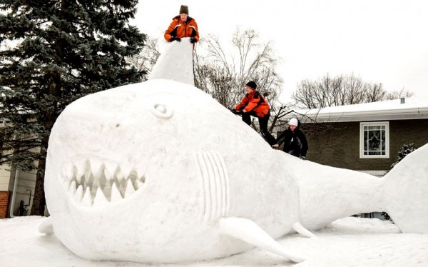 play with their 16 foot high snow shark in the front yard of their New Brighton, Minnesota. It took the brothers around 95 hours of work to build the icy creature using snow gathered from houses in their neighborhoo