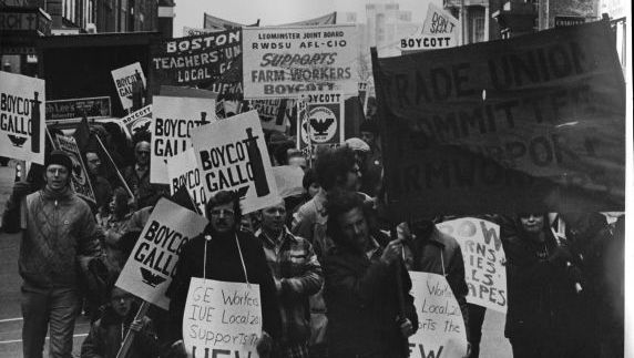 Πότε και πώς βγήκε η λέξη μποϊκοτάζ; Η δράση των γυναικών, οι πέτρες, η κοπριά και ο εξοστρακισμός των ευγενών
