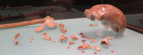 palaeochron 2