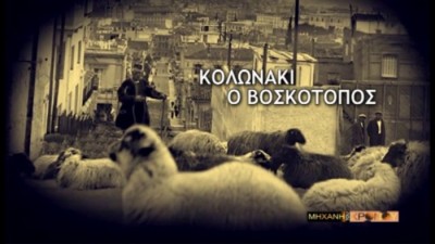 KOLONAKI katsikadika