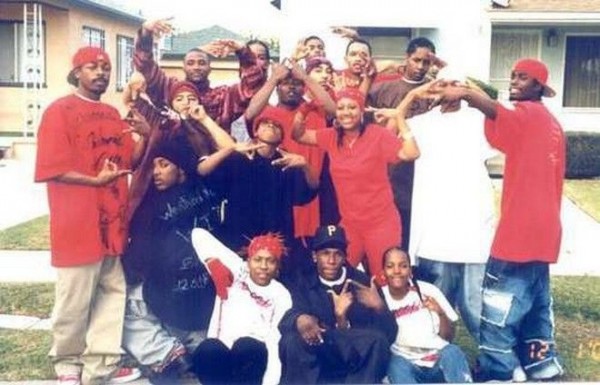 gang6