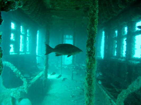 Subway-Carriages-Into-The-Ocean 4