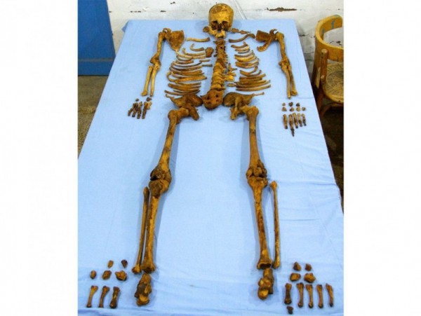 Ο σκελετός του Φαραώ