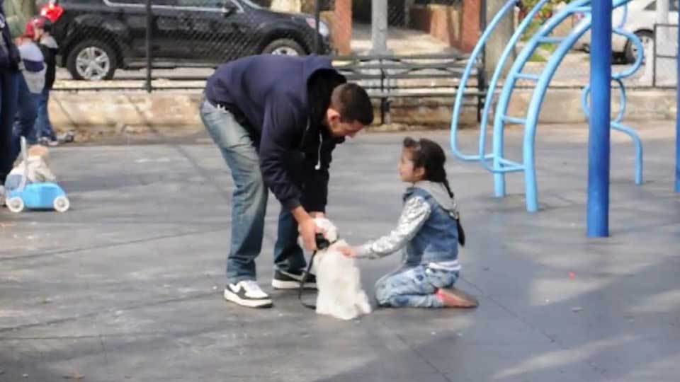 Ένας άνδρας προσπαθεί να απαγάγει ένα παιδί από την παιδική χαρά έχοντας ως δέλεαρ ένα κουταβάκι. Το κοινωνικό πείραμα ενός φαρσέρ που προκάλεσε φρίκη στις μητέρες (βίντεο)