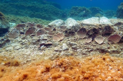 Η άγνωστη υποθαλάσσια Δήλος εντυπωσιάζει τους αρχαιολόγους. Βρέθηκε και δεύτερο λιμάνι με βυθισμένα κτίρια και πήλινα αγγεία (φωτογραφίες)
