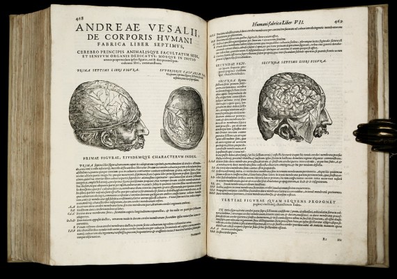 Andreas Vesalius 1