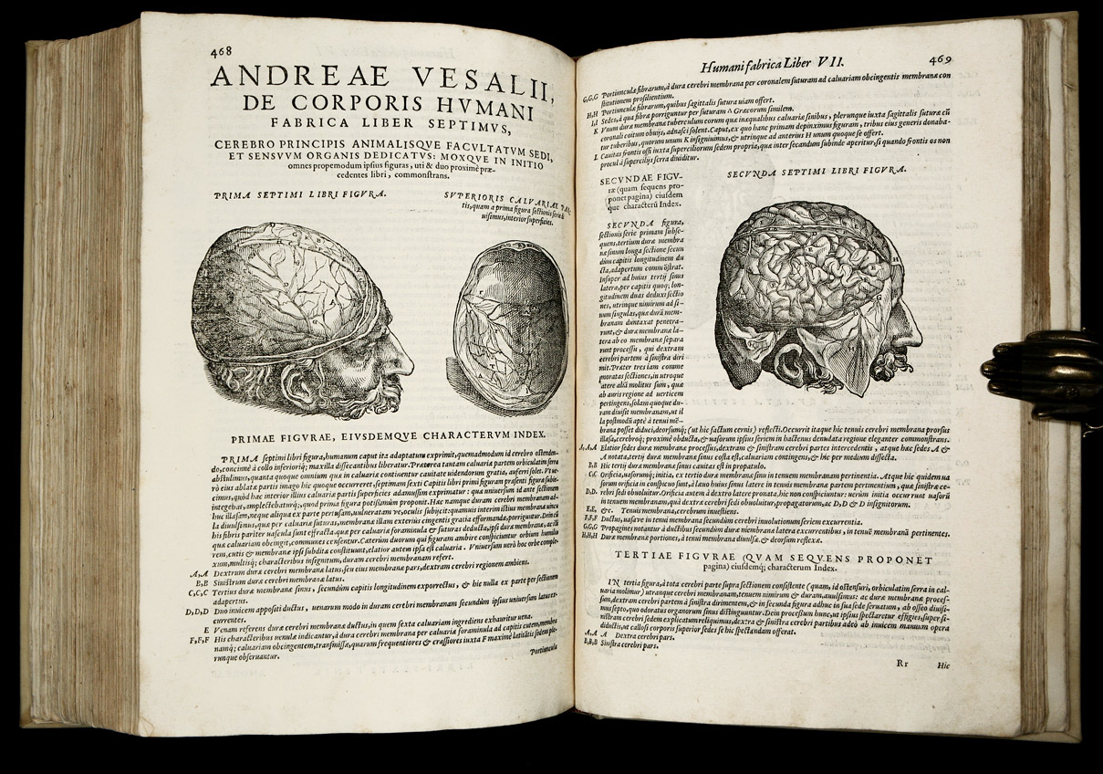 Книга тело мозг. 7 Книг Везалия о строении человеческого тела. Везалий анатомия книга. Трактат Везалия о строении человеческого тела.