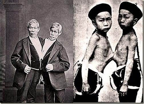 Οι "Σιαμαίοι δίδυμοι", Τσανγκ και Ενγκ Μπάνκερ, είχαν ύψος μικρότερο του κανονικού. Τα μάτια τους ήταν μαύρα, η επιδερμίδα τους ωχρή και τα χαρακτηριστικά του προσώπου τους ήταν αντιπροσωπευτικά της ασιατικής φυλής.