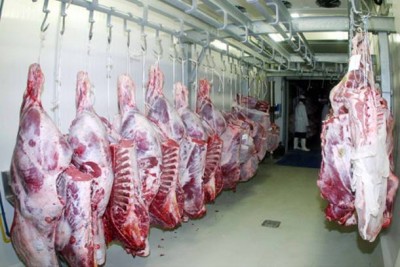 Οι αρχαίοι Έλληνες φιλόσοφοι καταδίκαζαν την κρεοφαγία και οι Άγιοι ήταν χορτοφάγοι. Η χορτοφαγία διαχρονικά και σχέση της με τη νηστεία