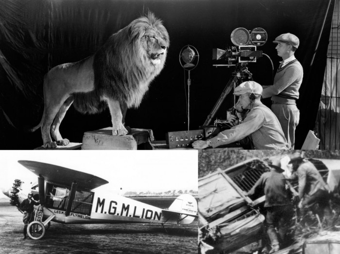 MGM-Lion-mix-700x522