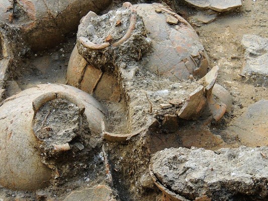 Wine jars at Tel Kabri.1