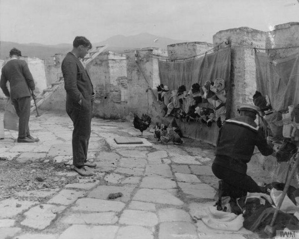 kotes-leykos-pyrgos