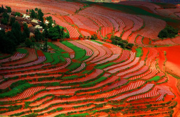 Red-Land