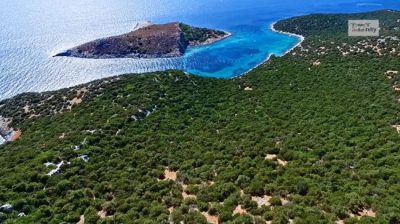 Πτήση πάνω από τον άγνωστο παράδεισο του Ευβοϊκού όπου υπήρξε λημέρι των οπλαρχηγών του 1821. Εκεί στην αρχαιότητα οι Πέρσες φυλάκισαν τους Ερετριείς (βίντεο drone)