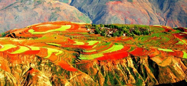 red land2