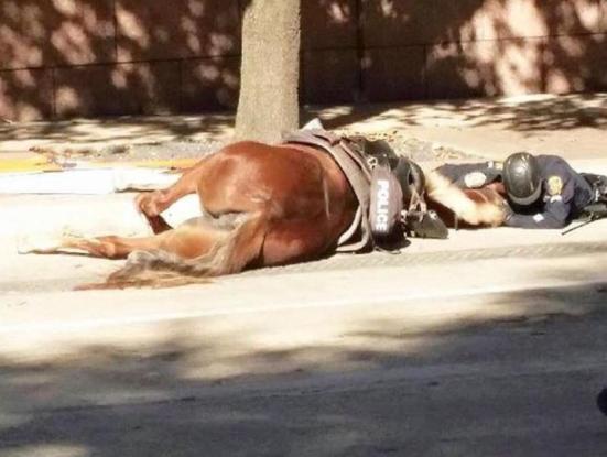 Η σπαρακτική στιγμή όπου ο αστυνομικός αποχαιρετά το άλογο του