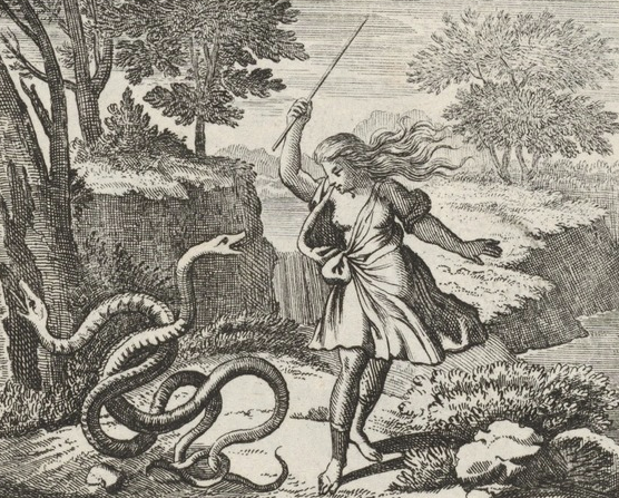 Ως εταίρα, ο Τειρεσίας σκότωσε το αρσενικό φίδι 