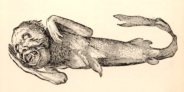Η γοργόνα του Φίτζι. Σχέδιο από τη βιογραφία του Μπάρνουμ