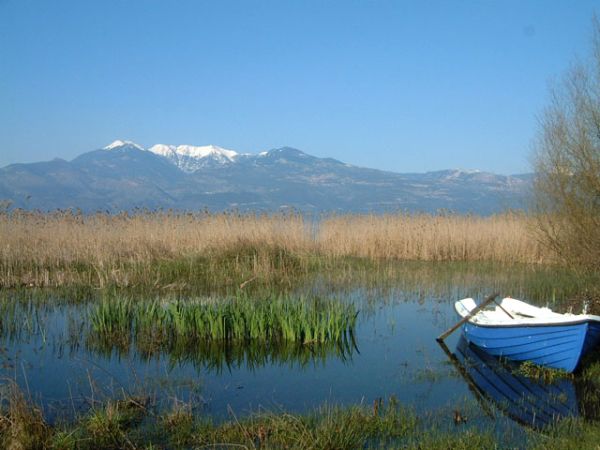 Οι ασβεστούχοι βάλτοι της Τριχωνίδας. Η ύπαρξη της λίμνης έχει ευνοήσει την ανάπτυξη της κτηνοτροφίας, της γεωργίας και της αλίευσης