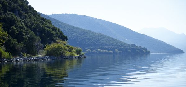 Κατά μήκος της λίμνης υπάρχουν βελανιδιές, καστανιές πλατάνια, λυγαριές, δάφνες και ερείπια μνημείων της βυζαντινής περιόδου και των αρχαίων πόλεων των Αιτωλών