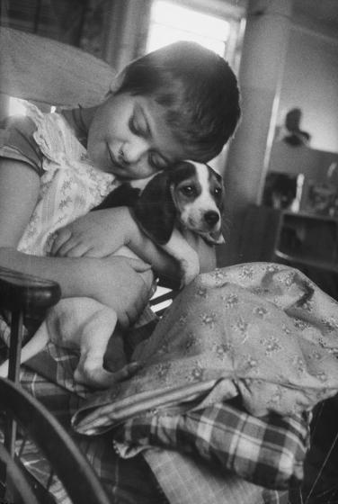 Το 1933, ήταν ο Φρόυντ αυτός που επανέφερε τη χρησιμότητα των ζώων στην ψυχολογική θεραπεία. Όποτε εξέταζε ασθενείς, τους άφηνε να παίζουν με τον σκύλο του, τον Τζόφι.