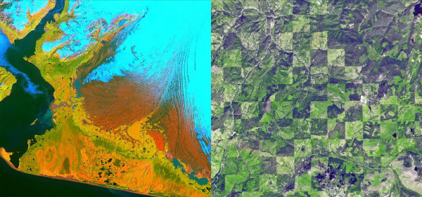 Αριστερά απεικονίζεται με γαλάζιο χρώμα ο παγετώνας στο νοτιοδυτικό τμήμα της Σιβηρίας. Ενώ με κίτρινο, πορτοκαλί και πράσινο χρώμα διακρίνεται η βλάστηση στην περιοχή, ξεκινώντας από το κίτρινο που είναι η χαμηλότερη βαθμίδα και καταλήγοντας στην πράσινη που είναι η πιο πυκνή βλάστηση. Δεξιά διακρίνονται σε σχήμα σκακιέρας οι υλοτομικές εργασίες στην περιοχή.