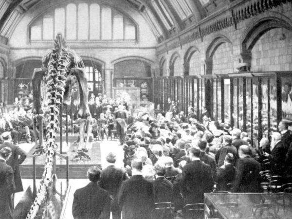 Η ανακάλυψη των οστών των δεινοσαύρων στο Νιου Τζέρσι έφερε κοντά δύο νεαρούς παλαιοντολόγους, τον Έντουαρντ Ντρίνκερ Κόουπ και τον Όθνιελ Μαρς, που έγιναν αργότερα σφοδροί ανταγωνιστές στους λεγόμενους "πολέμους των οστών" στα τέλη του 19ου αιώνα. Και οι δύο οργάνωσαν εξερευνητικές αποστολές στα δυτικά των ΗΠΑ για να συλλέξουν απολιθώματα. Τελικά καταστράφηκαν και οι δύο τους αλλά πλούτισαν τουλάχιστον τον κόσμο με θησαυρούς από κόκαλα δεινοσαύρων