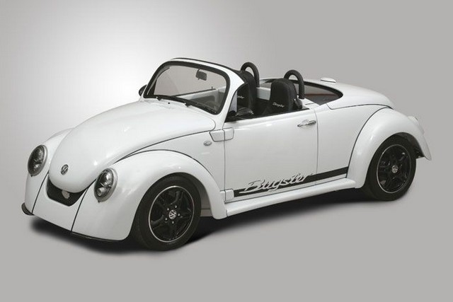 vwbugsterziovasagr18