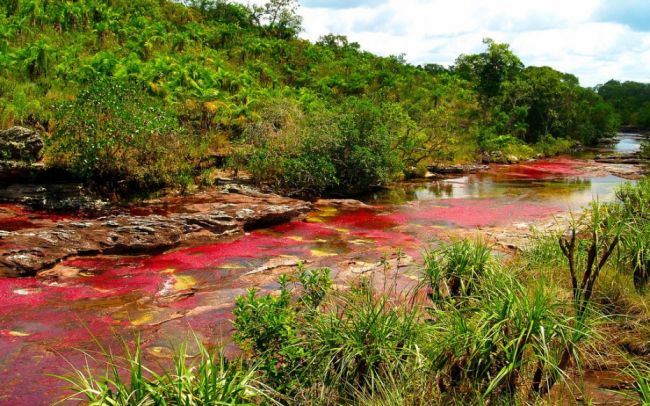 cristales kokkinos