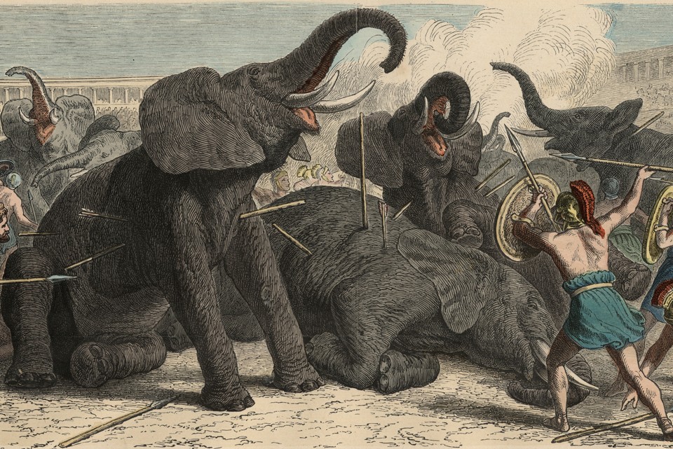 Οι ελέφαντες εμφανίστηκαν πρώτη φορά στη Ρώμη το 275 π.Χ. και τους είχαν πάρει λάφυρα πέντε χρόνια πριν στις μάχες εναντίον του Πύρρου