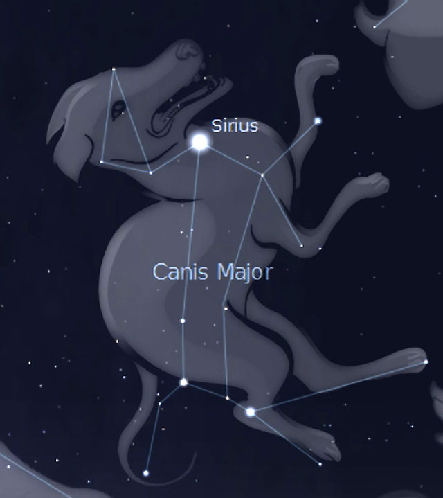 sirius-dog-star