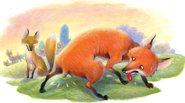fox_pic_mesa