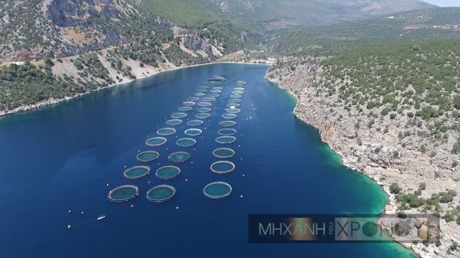 Αυτό είναι το άγνωστο «κρησφύγετο» του υποβρυχίου «Παπανικολής» στην Κορινθία. Εκεί επιβιβάζονταν σαμποτέρ για να τους μεταφέρει στην Κρήτη και τη Μέση Ανατολή (video drone)