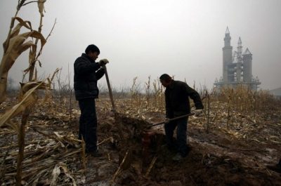 Οι αγρότες είχαν επιστρέψει στη γη που είχαν παραχωρήσει για το πάρκο και την είχαν καλλιεργήσει