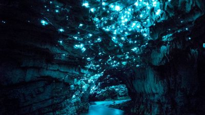 new-zealand-waitomo-caves