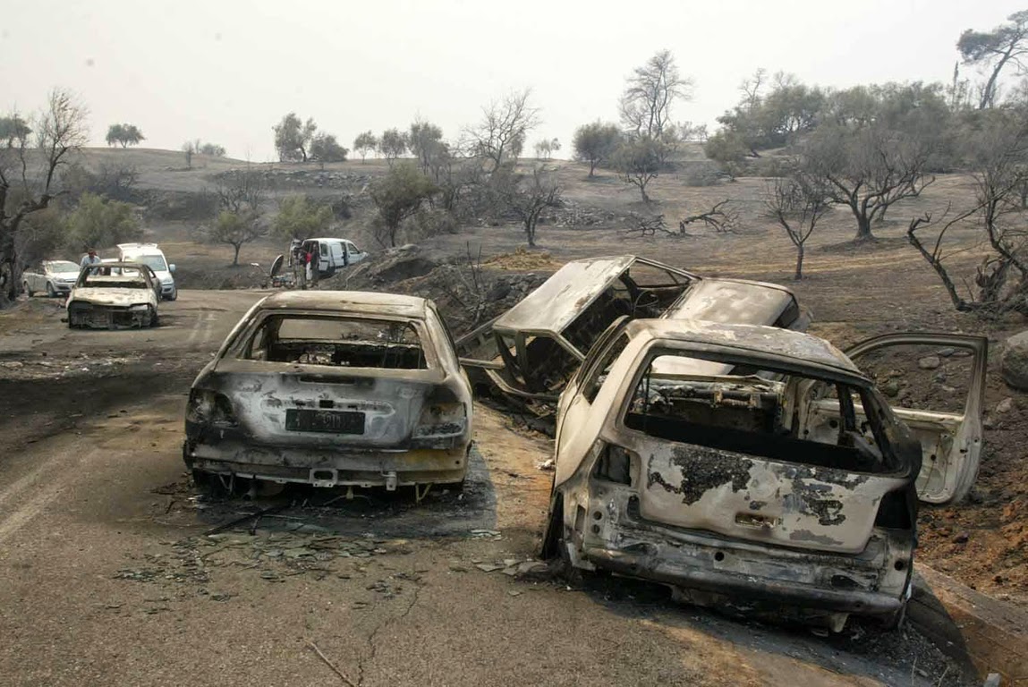Η ιδέα ενός Eλληνογάλλου αρχιτέκτονα για την πληγείσα από τις φωτιές του 2007 Αρχαία Ολυμπία και η σιωπή των ελληνικών φορέων
