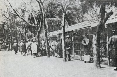 Γιατί σκότωσαν τα ζώα σε ζωολογικό κήπο του Τόκιο στον Β΄ Παγκόσμιο Πόλεμο. Λιοντάρια, αρκούδες και φίδια βρήκαν φρικιαστικό θάνατο. Η συγκινητική μάχη τριών ελεφάντων