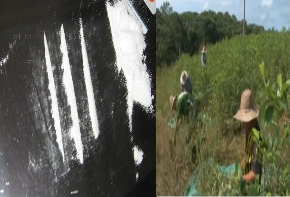 Πληρωμένοι δολοφόνοι στη μέση του δρόμου, απειλές κατά δικαστών και 11 νεκροί κάθε μέρα. Η πόλη του εγκλήματος και της κοκαΐνης