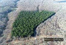 Αναζήτηση πορνό κινουμένων σχεδίων