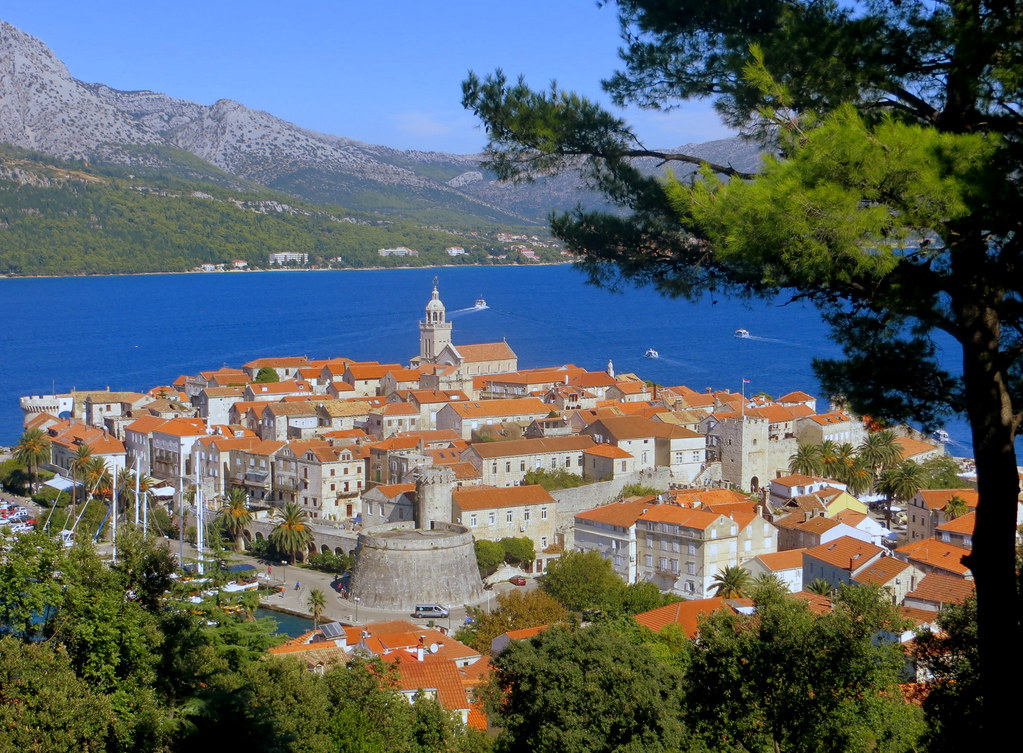 πεύκα στην Κόρτσουλα. Κροατία