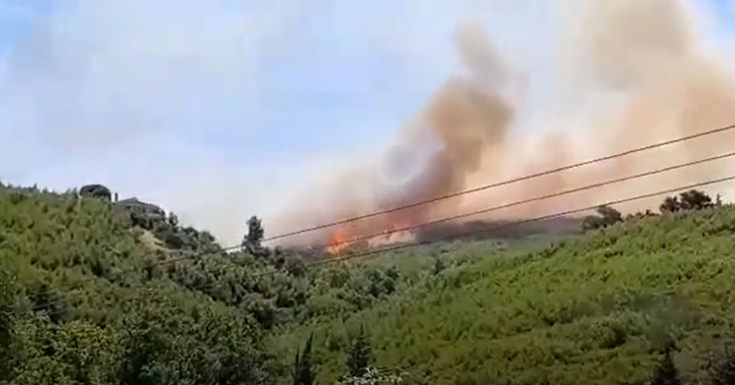 Eκκενώθηκαν οικισμοί σε Εύβοια και Βόλο από πυρκαγιές που ξέσπασαν. Αναζωπύρωση στον Βαρνάβα. Δυσχεραίνουν το έργο των πυροσβεστών οι ισχυροί άνεμοι